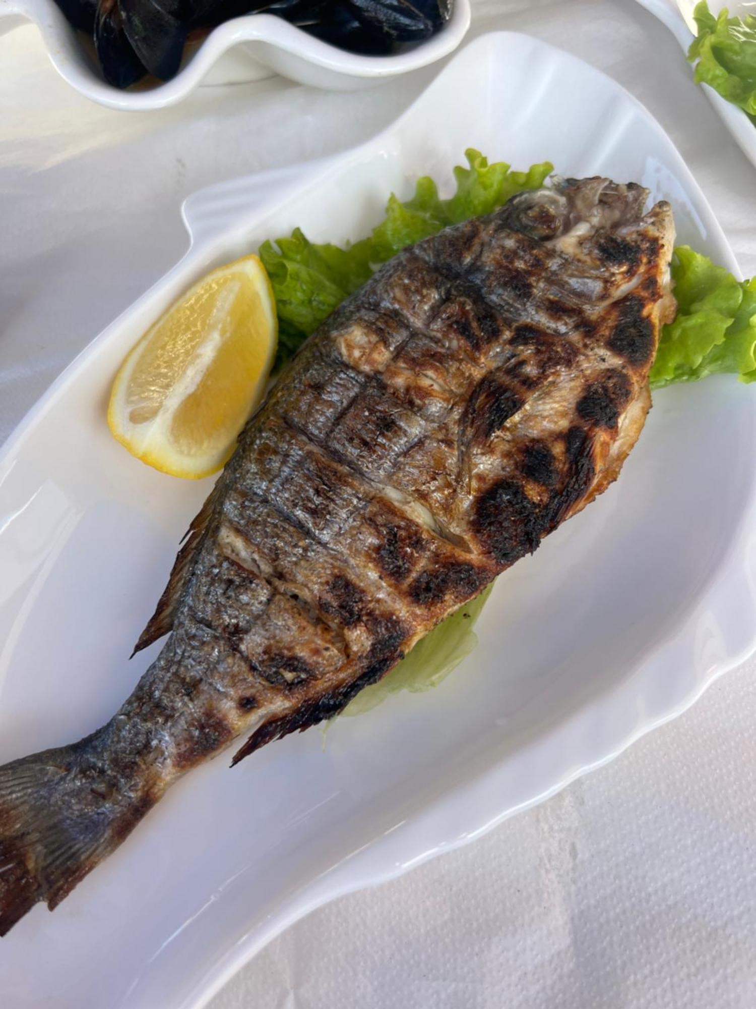 Bruno Rooms Vlore Bagian luar foto